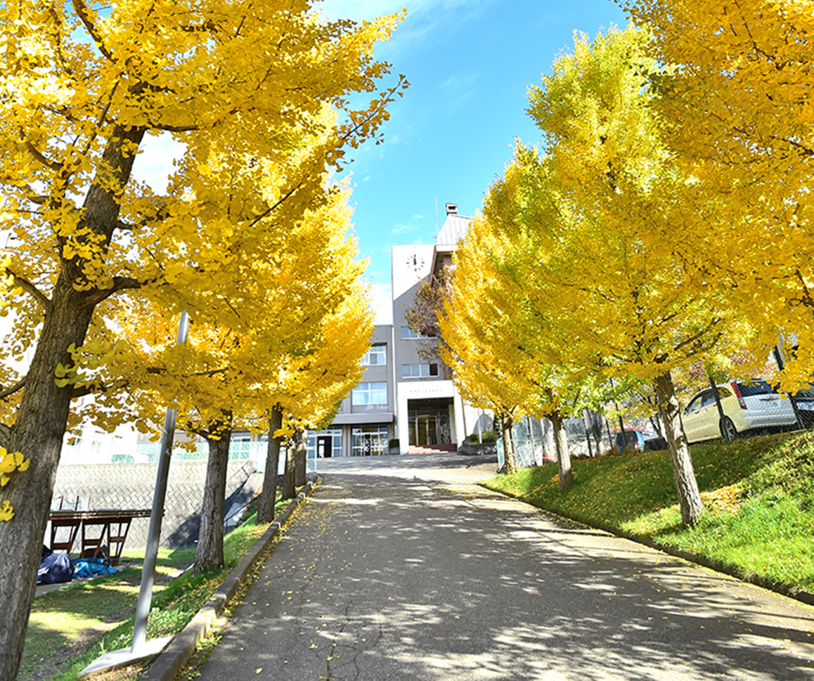 学校概要イメージ